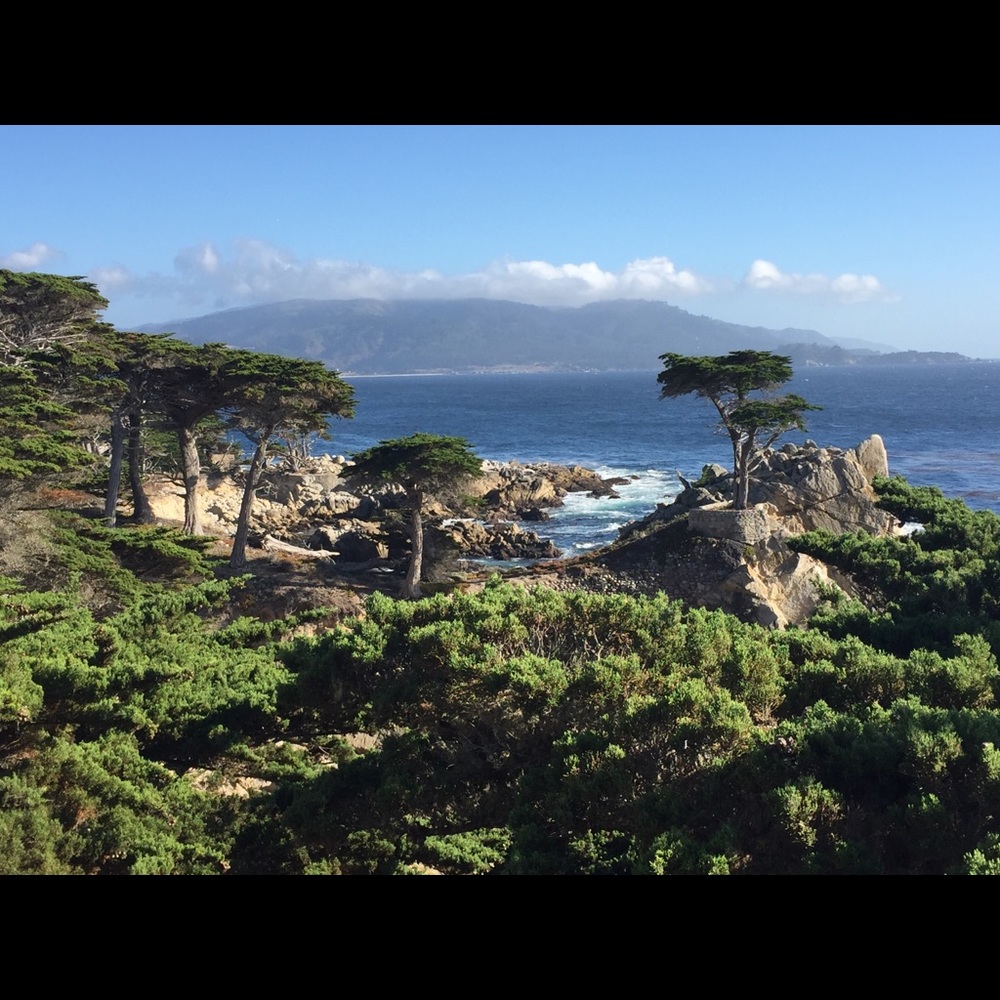 Meet your Posher, Rachael